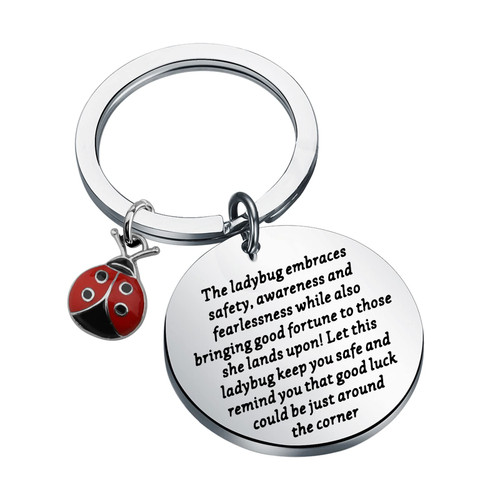 ENSIANTH Ladybug Keychian Good Luck Ladybug Keychain Insect Lover Gift Animal Researchers Jewelry Beetle Ladybug Gift Best Friend Gift (Ladybug Key) ENSIANTH Ladybug Keychian Good Luck Ladybug Keychain Insect Lover Gift Animal Researchers Jewelry Beetle Ladybug Gift Best Friend Gift (Ladybug Key)