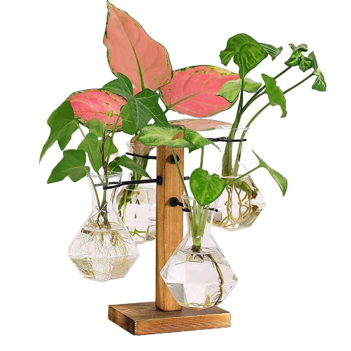 Plant Propagation Stations Terrarium with Wooden Stand-Desktop Glass Bulb Plant Vase for Propagating Hydroponic Plants Home Garden Office Decor (Style 8) Plant Propagation Stations Terrarium with Wooden Stand-Desktop Glass Bulb Plant Vase for Propagating Hydroponic Plants Home Garden Office Decor (Style 8)