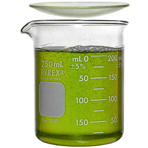 Corning PYREX, 1000-250, 250ml Low Form Griffin Beaker with PYREX 9985-75, 75mm Watch Glass (Single)