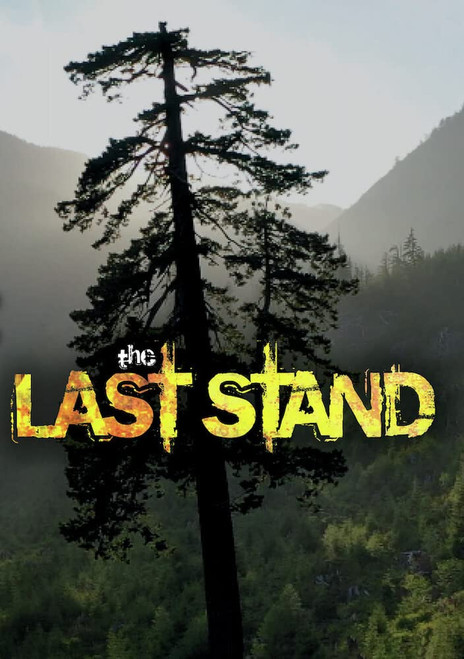 The Last Stand [DVD]