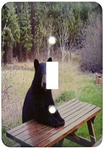 3dRose lsp_100971_1 Black Bear Ready for Lunch Single Toggle Switch