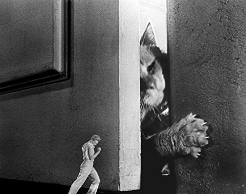 The Incredible Shrinking Man Grant Williams 1957 Photo Print (14 x 11)