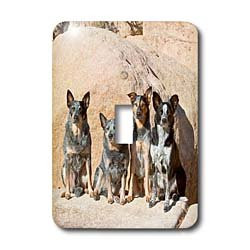 3dRose LLC lsp_88793_1 Four Australian Cattle Dogs Us05 Zmu0109 Zandria Muench Beraldo Single Toggle Switch