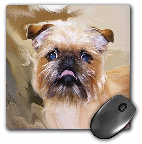 3dRose LLC 8 x 8 x 0.25 Inches Mouse Pad, Brussels Griffon Portrait (mp_4446_1)