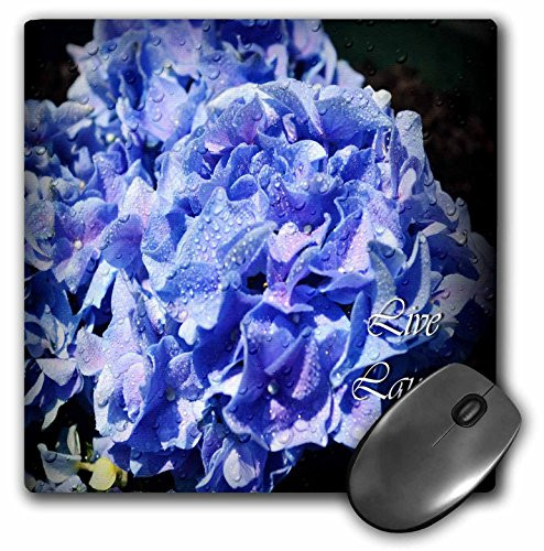 3dRose LLC 8 X 8 X 0.25 Inches Live Laugh Love Blue Hydrangeas with Rain Drops Mouse Pad (mp_22506_1)