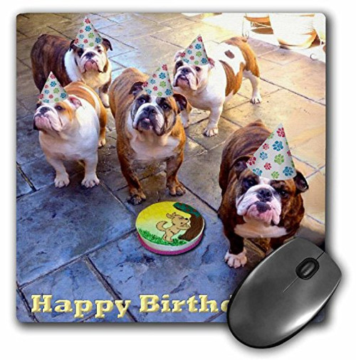 3dRose LLC 8 x 8 x 0.25 Inches Mouse Pad, English Bulldog Birthday (mp_39567_1) 3dRose LLC 8 x 8 x 0.25 Inches Mouse Pad, English Bulldog Birthday (mp_39567_1)