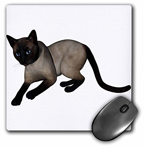 3dRose LLC 8 x 8 x 0.25 Inches Laying Siamese Cat Mouse Pad (mp_150868_1)