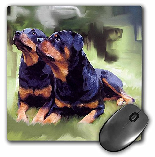 3dRose LLC 8 x 8 x 0.25 Inches Mouse Pad, Rottweiler (mp_4374_1) 3dRose LLC 8 x 8 x 0.25 Inches Mouse Pad, Rottweiler (mp_4374_1)