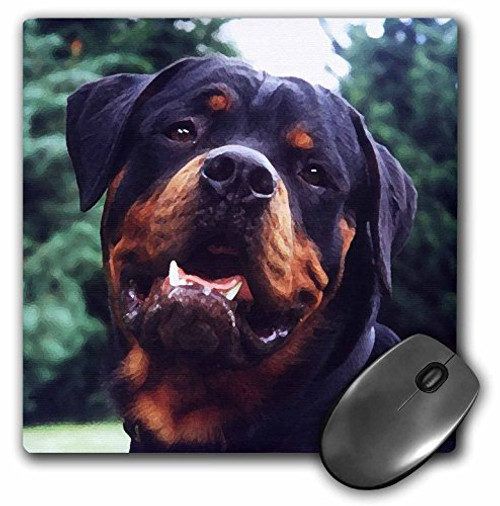 3dRose LLC 8 x 8 x 0.25 Inches Rottweiler Portrait Mouse Pad (mp_4377_1) 3dRose LLC 8 x 8 x 0.25 Inches Rottweiler Portrait Mouse Pad (mp_4377_1)
