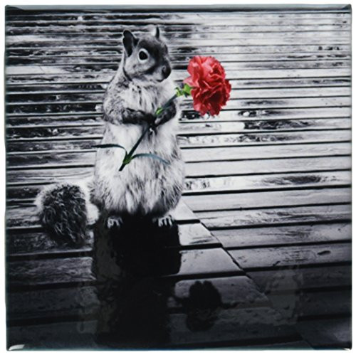 3dRose Doreen Erhardt Wildlife - Sweet squirrel standing on a rainy deck holding a pink carnation - 4 Inch Ceramic Tile (ct_150168_1)