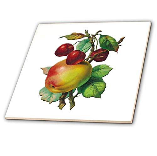 3dRose ct_170413_1 Vintage Apples on a Branch with Red Cherries-Ceramic Tile, 4-Inch