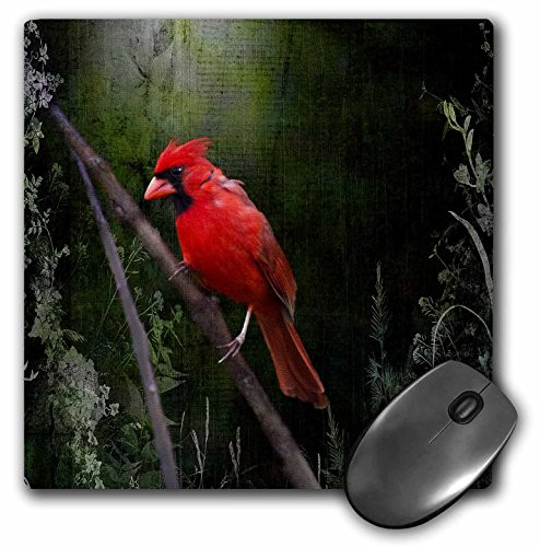 3dRose LLC 8 x 8 x 0.25 Inches Mouse Pad, Wild Cardinal Bird (mp_48670_1)