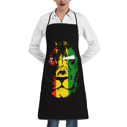 Meaudiwes Men Women Apron for Reggae Rasta Flag Lion Cooking Kitchen Aprons For Chef Couple Bbq Painting Thanksgiving Christmas Cooking Gifts For Wife, Husband, Mom, Dad 20.5"x 28.3"