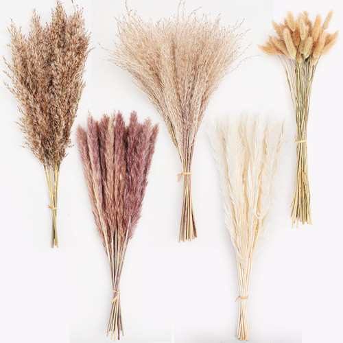 Dried Pampas Grass Decor, 110 PCS Pampas Grass Contains White and Brown Pampas Grass & Bunny Tails & Reed Grass Dried Flowers Bouquet for Wedding Boho Flowers Home Table Decor, Rustic Farmhouse Decor