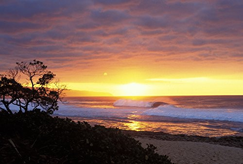 Posterazzi Hawaii Oahu North Shore Waves Crashing At Sunset Tree Silhouetted Poster Print (17 x 11)