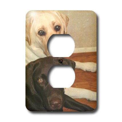3dRose lsp_3323_6"Labrador Retriever" 2 Plug Outlet Cover