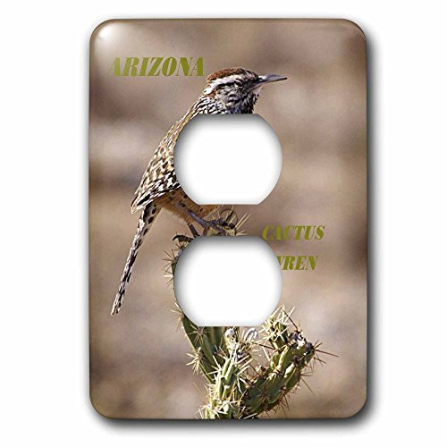 3dRose lsp_50933_6 State Bird of Arizona Cactus Wren Outlet Cover