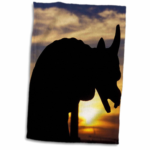 3dRose France, Paris. Notre Dame Cathedral, Gargoyle - EU09 DBN0824 - David... - Towels (twl-81490-1)