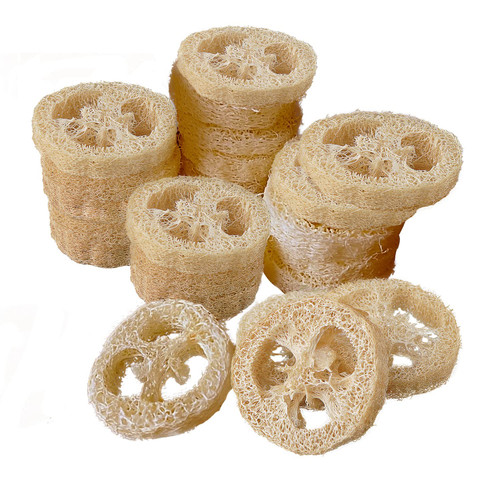 FRTIM Natural Loofah Slices for Soap Making, 20 Pieces Organic Luffa Cuts for DIY Exfoliating Soaps, Homemade Handmade Loofa Soap Supplies