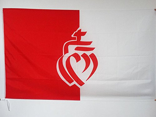 AZ FLAG French Department of The Vend?Flag 3' x 5' for a Pole - France - Vend?Flags 90 x 150 cm - Banner 3x5 ft with Hole