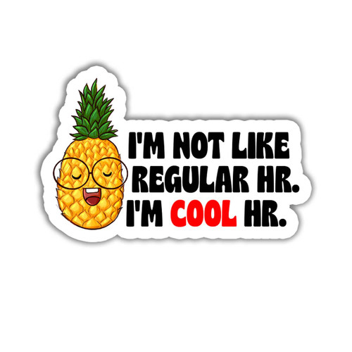 3 Pcs - HR Gift Human Resources Sticker I'm Not Like Regular HR I'm Cool HR Awesome HR Quotes Stickers 3x4 inch Funny Sticker for Laptop Wall Window Car Bumper Folders Water Bottle Tumbler Phone A2