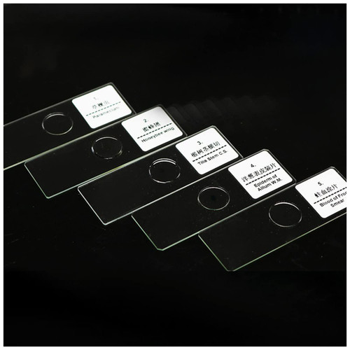 Handheld Digital Microscope Accessories 5 pcs Glass Specimen Slides, for Biological Microscope Microscope Accessories