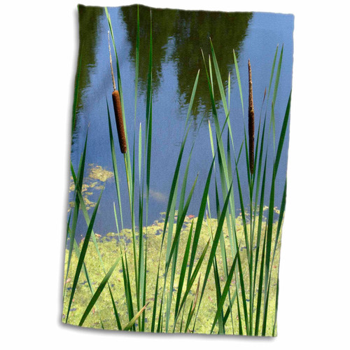 3dRose Danita Delimont - Pond - Pond with cattails - Towels (twl-228223-1) 3dRose Danita Delimont - Pond - Pond with cattails - Towels (twl-228223-1)