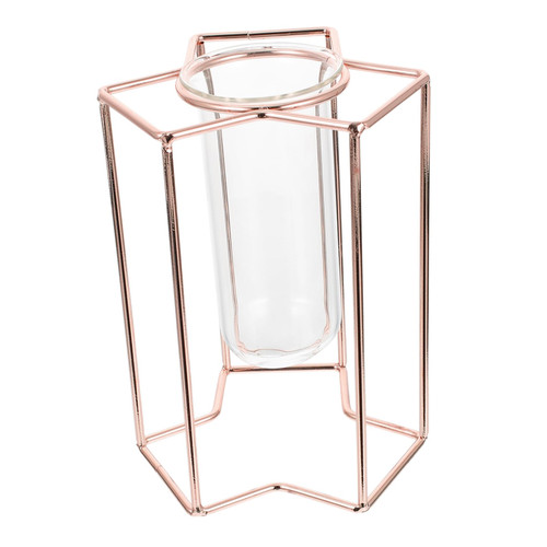 Sosoport 1pc Hydroponic Glass Vase Ornament Container Hydroponics Planter Tube Plant Holder Glass Tube Planter Hydroponic Planter Glass Test Tubes Glass Tube Vase Dried Flowers Bracket Iron