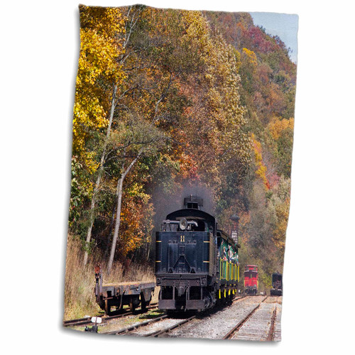 3D Rose West Virginia-Cass Scenic Railroad-Steam Train-Us49 Wbi0030-Walter Bibikow Hand/Sports Towel, 15 x 22