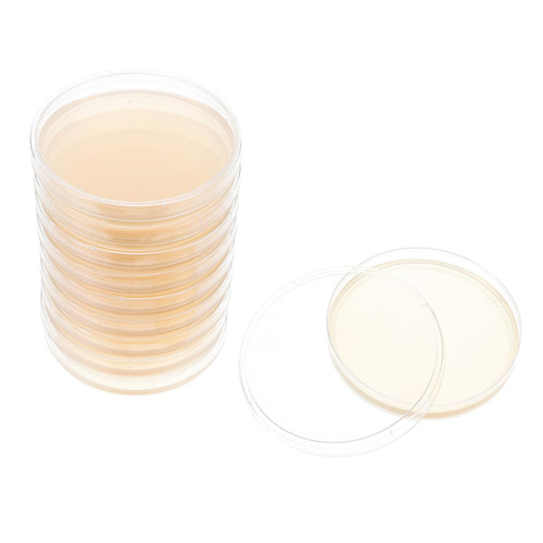 SOLUSTRE 10pcs Nutrient Agar Plate Mushroom Poured Agar Plates Labs Agar Plate Kids Science Fair Project Kit Petri Dishes with Agar Pre-Poured Petri Plates Agar Medium Child Straw Top