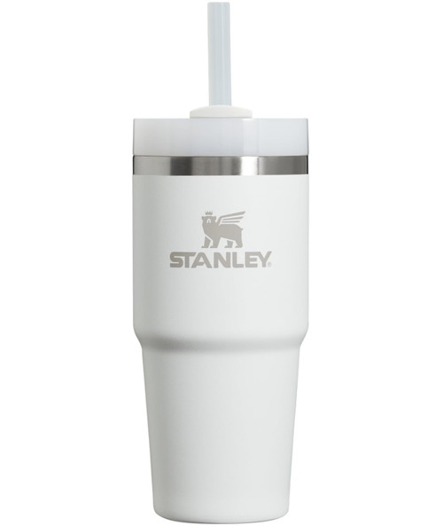 Stanley Quencher H2.0 FlowState Stainless Steel Vacuum Insulated Tumbler with Lid and Straw for Water, Iced Tea or Coffee, Smoothie and More, Frost, 14oz