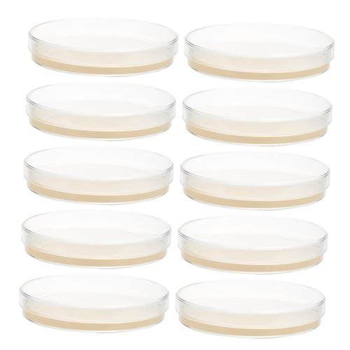 Hemoton 10pcs Nutrient Agar Plate Agar Petri Plate Mushroom Poured Agar Plates Fake Butt Labs Agar Plate Labs Petri Plate Pre-Poured Petri Plates Agar Medium Straw Glass Child