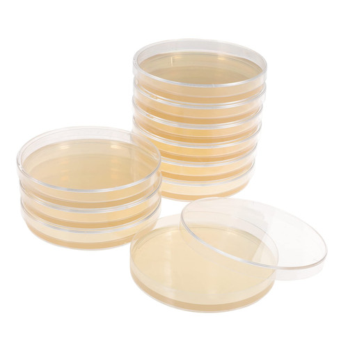 CHILDWEET 10pcs Nutrient Agar Plate Laboratory Experiment Supplies Lab Petri Dishes Agar Plates for Laboratory Prepoured Agar Plates Biology Petri Dish Toys Glass Child Agar Powder