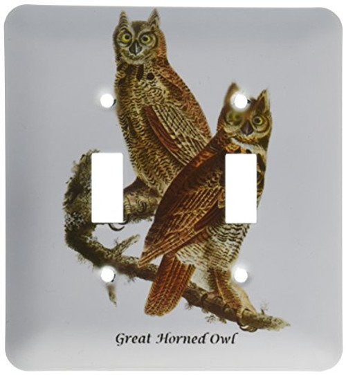 3dRose lsp_114065_2 Great Horned Owl by John James Audubon Double Toggle Switch 3dRose lsp_114065_2 Great Horned Owl by John James Audubon Double Toggle Switch
