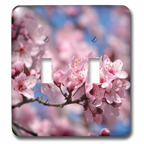 3dRose lsp_178984_2"Pretty Pink Cherry Blossom Flowers" Double Toggle Switch