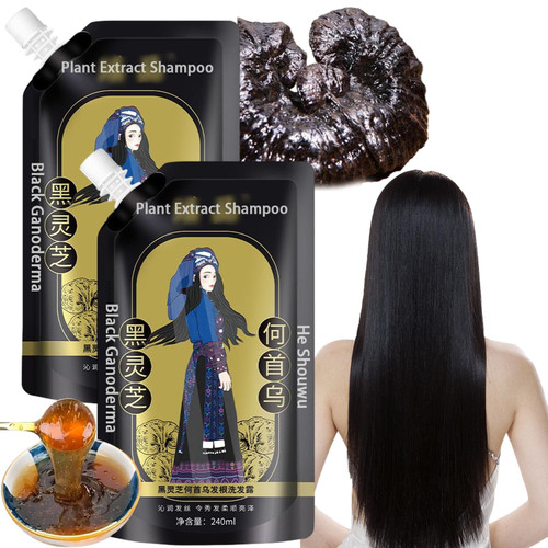 2PCS Ginger Plant Extract Anti-Hair Loss Hair Shampoo, Polygonum Black Ganoderma Extract Shampoo [2024 New Upgrade] (A (240mL+240mL/2Boxes))