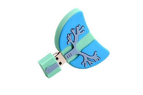 2.0 Human Lungs Organ 64GB USB External Hard Drive Flash Thumb Drive Storage Device Cute Novelty Memory Stick U Disk Cartoon