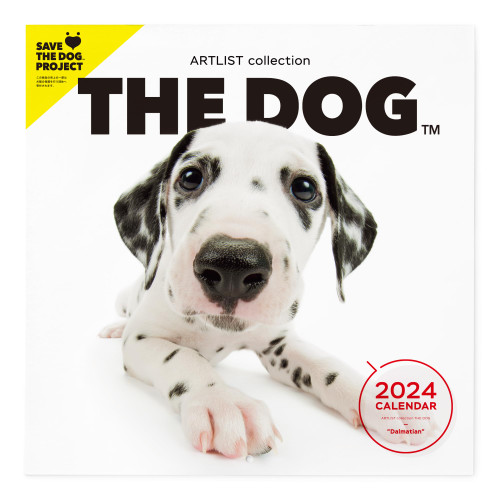 [ArtlistCollectionTHE DOG] Wall Calendar ?Dalmatian? 2024