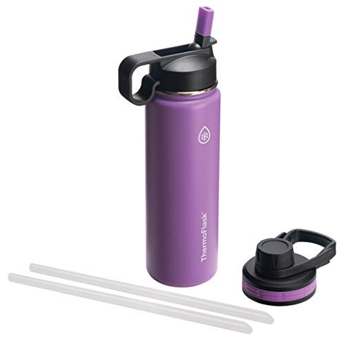 Thermoflask 50053 Double Insulated Stainless Steel Water Bottle with Chug Straw Lid, 24 oz, Plum