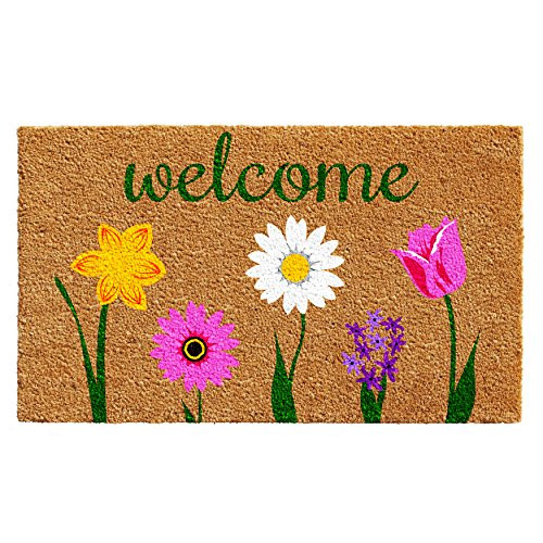 Calloway Mills 102451729 Carmine Doormat, 17" x 29", Multicolor