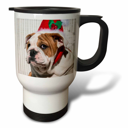 3dRose USA, Alaska, Fairbanks Northern Lights Patterns Travel Mug, 14 oz, White