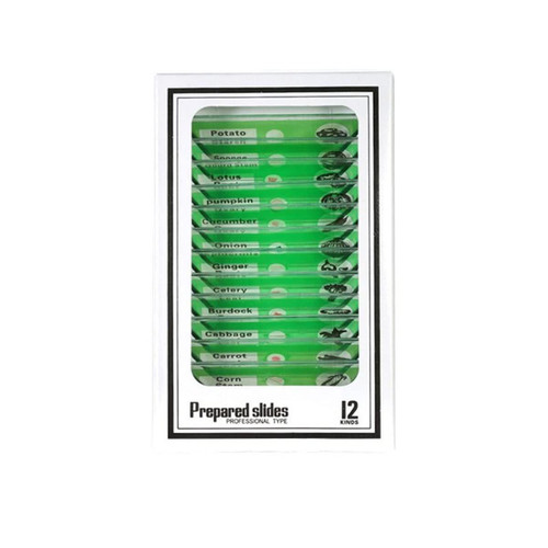Microscope Accessories Kit 1200x Children's Biological Microscope Microscope Slides (Color : Vegetable Specimen)