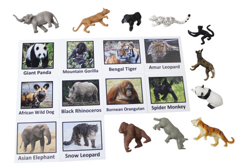 Curious Minds Busy Bags Montessori Endangered Species Animal Match Cards and Figurines. Nomenclature Science Work Continent Box Curious Minds Busy Bags Montessori Endangered Species Animal Match Cards and Figurines. Nomenclature Science Work Continent Box