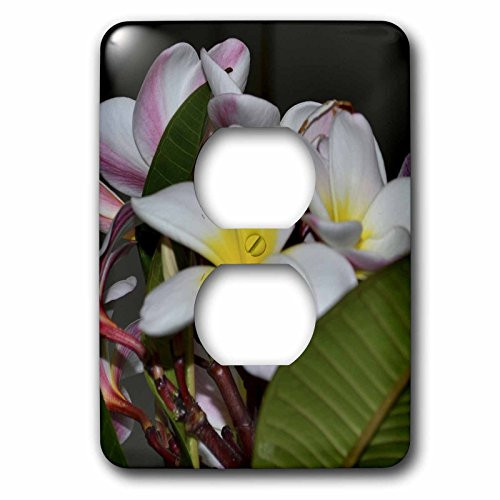 3dRose lsp_59180_6 Hawaiian Flowers 2 Plug Outlet Cover