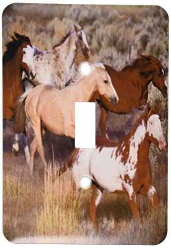 3dRose LLC lsp_93557_1 Usa, Oregon, Seneca, Ponderosa Ranch Horses Us38 Bja0382m Jaynes Gallery Single Toggle Switch