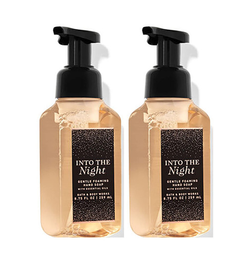 Bath and Body Works Into The NIght Gentle Foaming Hand Soap 8.75 Ounce 2-Pack (Into The NIght)