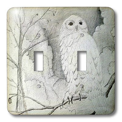 3dRose LLC lsp_14407_2 Night Owl Double Toggle Switch