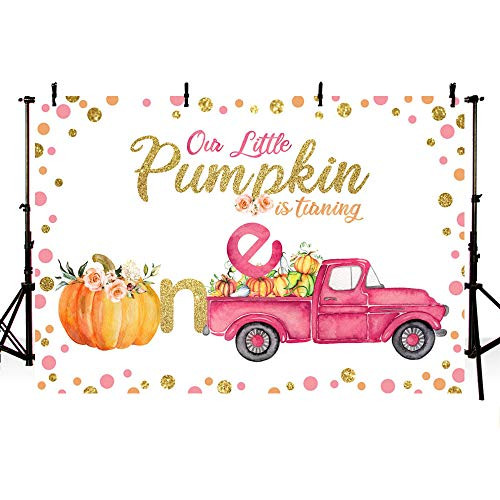 MEHOFOTO Pumpkin Birthday Party Photo Background Banner Fall Autumn Our Little Pumpkin Girl 1st Birthday Pink and Gold Backdrops for Photography 7x5ft MEHOFOTO Pumpkin Birthday Party Photo Background Banner Fall Autumn Our Little Pumpkin Girl 1st Birthday Pink and Gold Backdrops for Photography 7x5ft