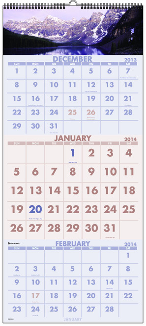 AT-A-GLANCE 2014 Scenic 3-Month Wall Calendar, 12 x 27.12 x .18 Inches (DMW503-28)