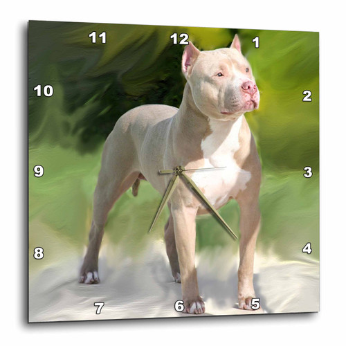 3dRose LLC American Pit Bull Terrier Wall Clock, 10 by 10-Inch